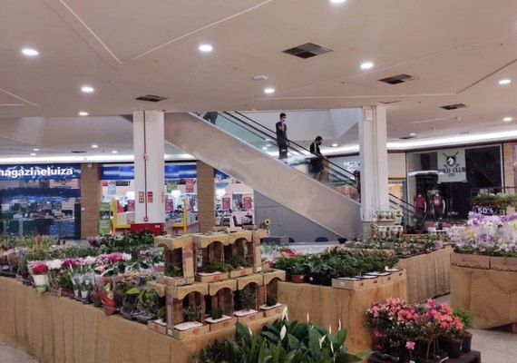 Shopping recebe festival com mais de 200 espécies de flores e plantas ornamentais