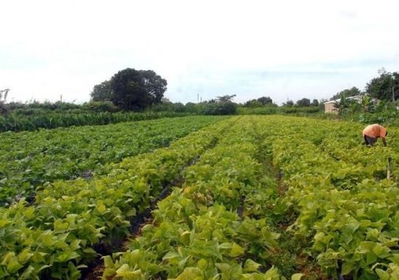 Produção de alimentos precisaria aumentar 60% para ter equilíbrio