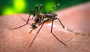 Ações estratégicas mantêm casos de dengue sob controle em Maceió