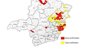 Grande BH registra primeira morte por febre amarela