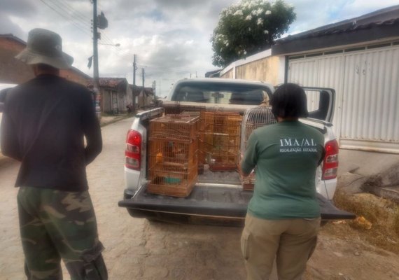 Operação Curupira 11 efetua cerca de R$ 90 mil em multas por crimes ambientais