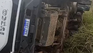 Caminhão sai da pista após motorista perder o controle da direção na AL-115, em Arapiraca