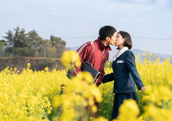 Doramas de 2025 que vão te emocionar em uma só temporada