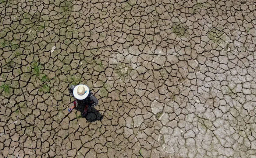 Mudanças climáticas já interferem em secas e cheias na Amazônia