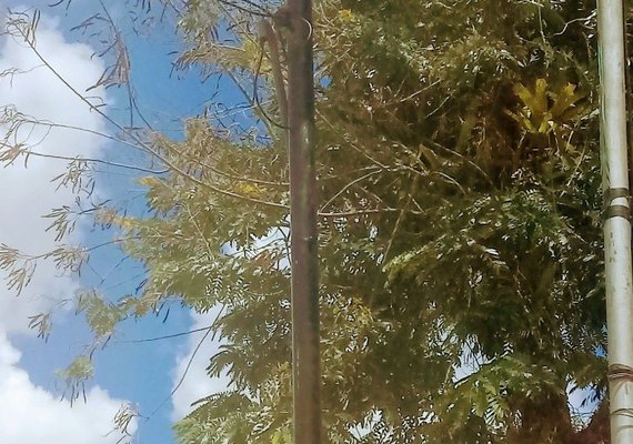 Fernão Velho usa sirene para alertar moradores do toque de recolher