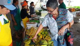 Feira Orgânica na Semarh acontece nesta terça, 5