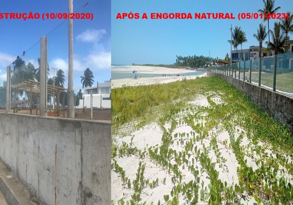 'Estrutura conhecida como bagwall pode ser a solução para salvar muitas praias alagoanas'