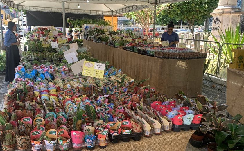 Maceió recebe Feira de Flores de Holambra para celebrar a chegada da primavera com mais de 200 espécies a partir de R$ 5