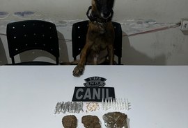 PM/AL apreende 33 armas e quase 14 quilos de drogas em uma semana