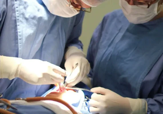 Fissura labiopalatina demanda tratamento precoce e multidisciplinar
