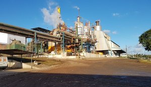 Pindorama registra segunda maior safra de cana da sua história