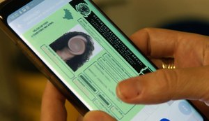 Condutores já podem imprimir em casa o documento veicular
