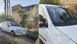 Árvore de grande porte cai e danifica carro no bairro Prado, em Maceió