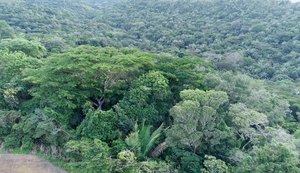 Em Rio Largo, homem de 30 anos é morto com 12 tiros na Mata do Rolo