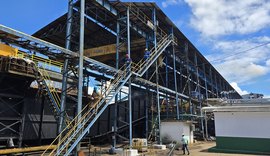 Usina Pindorama inicia Safra 2025/2026