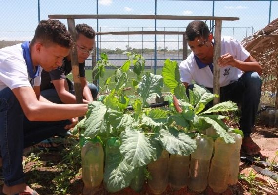 Governo institui lei da escola sustentável na rede estadual