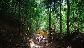 Trilha pela Mata Atlântica em Fernão Velho é reativada após ações de limpeza e iluminação