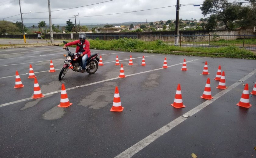 A importância do coelho na páscoa de hoje