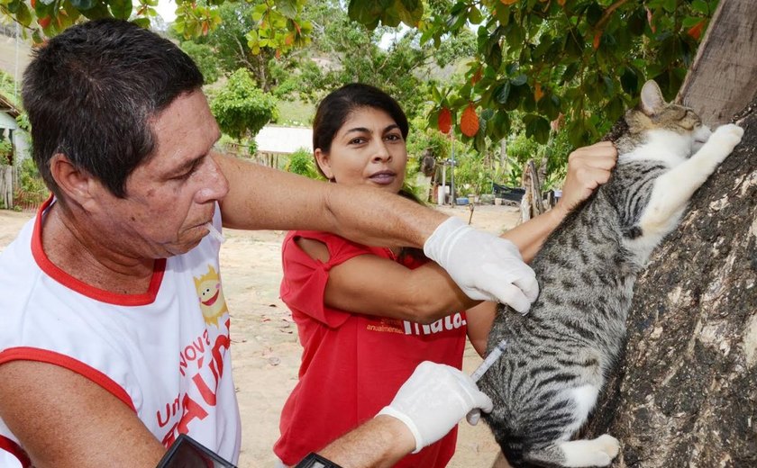 Campanha de vacinação contra a raiva é iniciada em Alagoas