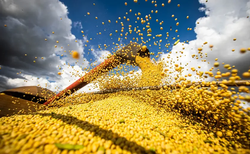 Produção agrícola brasileira superou R$ 927 bilhões em 2025