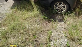 Homem morre após perder controle de carro e bater em poste na AL-220