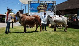 Expoagro 2021 fatura R$ 20 milhões e bate recorde