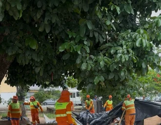Após reivindicações do vereador Delegado Thiago Prado, barracos da Praça Sinimbu são removidos