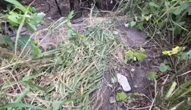 Morte de mãe e bebê teria sido motivada por triângulo amoroso em Rio Largo