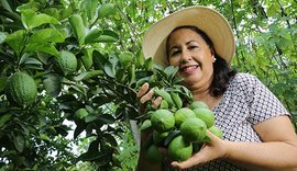 Cooperativas são importantes para mulheres do campo, mas poucas têm poder de decisão