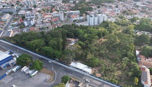 Desmatamento avança em refúgio de Mata Atlântica na Serraria