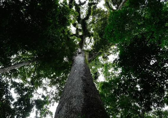 89% dos brasileiros veem clima como ameaça real ao país, mas só 30% sabem o que fazer em eventos extremos