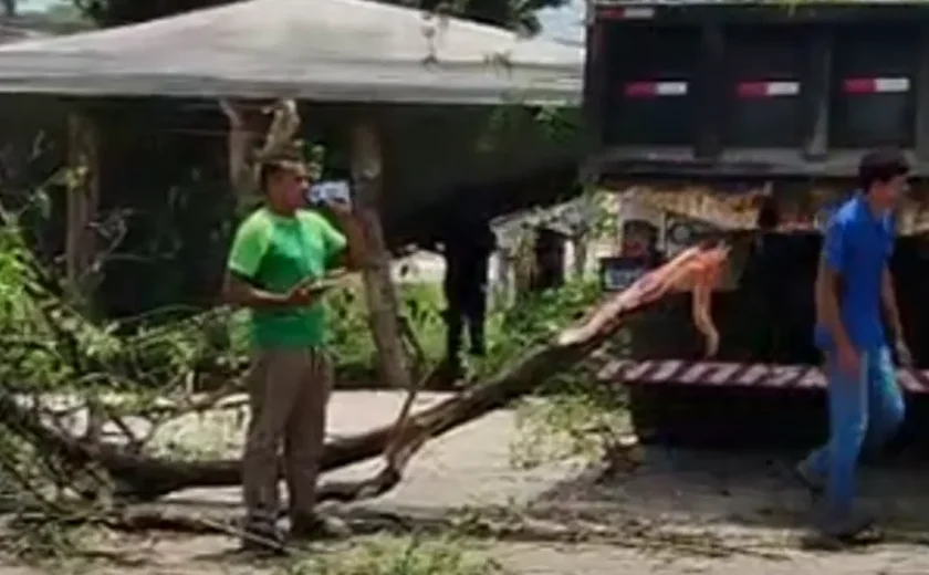 Motorista perde controle de caçamba e causa acidente na BR-104, em Maceió