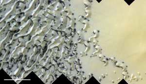 Sonda mostra dunas do polo norte de Marte