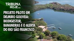 Projeto piloto: biodigestor, bananeiras e o alerta do Rio São Francisco