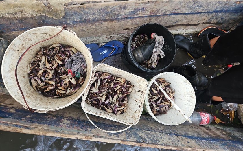 Polícia Militar flagra grupo que realizava captura proibida de caranguejo-uçá