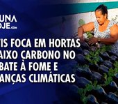Amitis foca em hortas de baixo carbono no combate à fome