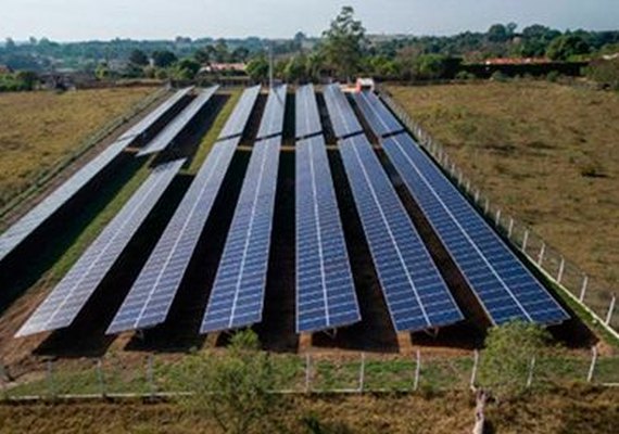Cooperativas e fazendas solares são alternativas para alto custo da energia elétrica