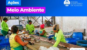 TJ/AL destina quase 40 toneladas de material para reciclagem em 2024