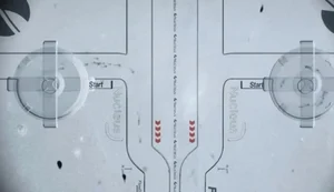 Primeira corrida de espermatozoides é realizada nos EUA
