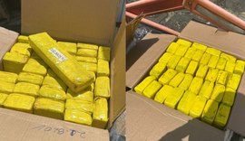 Polícia apreende grande carga de maconha com inscrições bíblicas em Alagoas