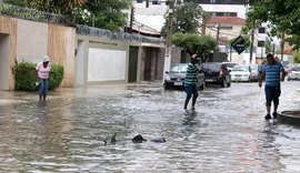 Chuva causa queda de árvores, alagamentos e deslizamento de barreiras