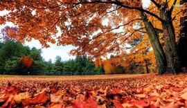 Outono no hemisfério sul começa às 7h29 da próxima segunda-feira