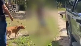 Polícia Civil prende homem por maus-tratos e zoofilia em Murici