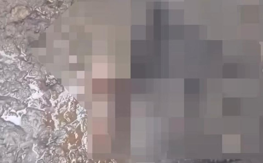 Seis ovelhas são encontradas mortas  na zona rural e caso intriga moradores de Atalaia