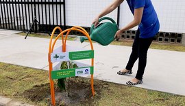 Plantios do Algás Calçada Verde seguem em ação em Maceió