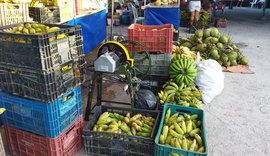 Feira Agroecológica Novo Jardim chega na cidade universitária, parte alta de Maceió