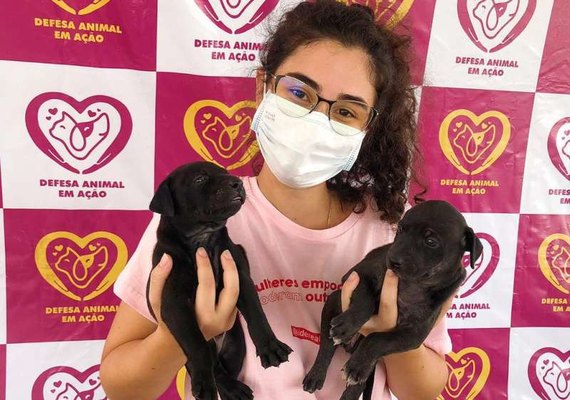 Castramóvel da Teca Nelma inicia castrações de animais neste fim de semana