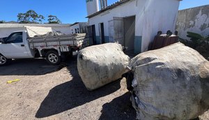 Hospital Ib Gatto Falcão desenvolve projeto de reciclagem de material descartável