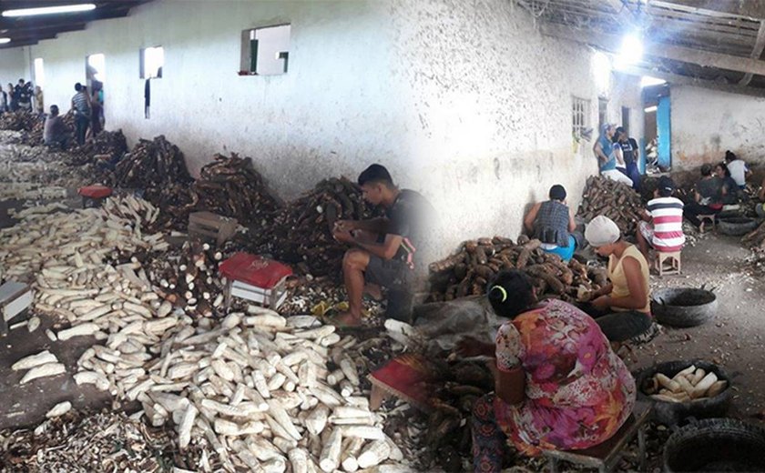 Alagoas é 4º do Nordeste em trabalho escravo