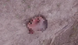 Suspeitos de desaparecimentos e homicídios na Rota Ecológica são alvos de operação em Alagoas